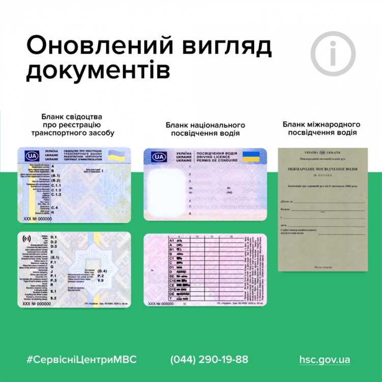 Современная система вождения и права на управление автомобилем