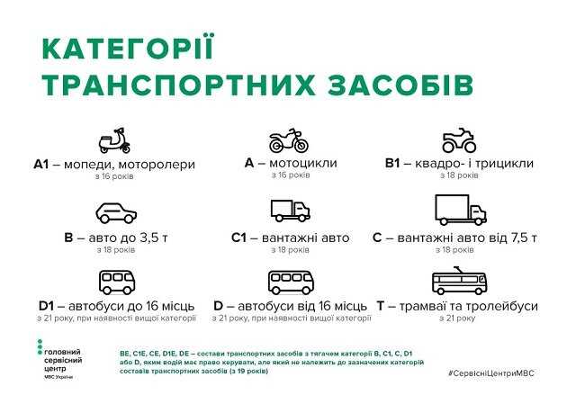 Подробное руководство по получению водительских прав
